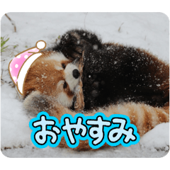 RIHO_20260507214601