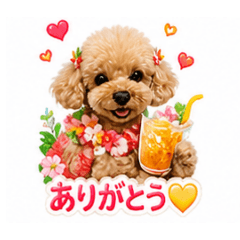 Mami_20260507213717