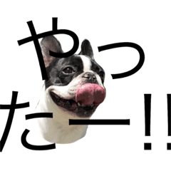 frenchbulldog Sticker
