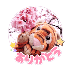 yui_20260429144416