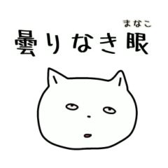 very funny cat sticker