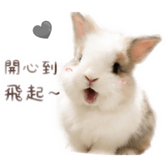 咪咪mimi專屬貼圖