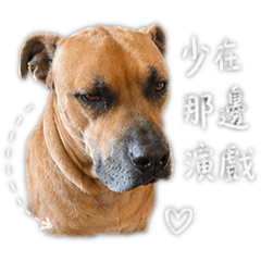 王阿丿的火車語錄