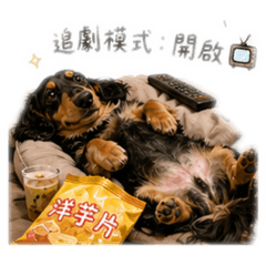 賀比居家耍廢～