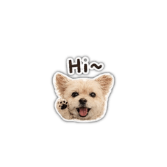 嘟嘟嘟嘟嘟嘟嘟嘟寶貝