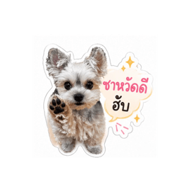Bambymyboy_20260427230021