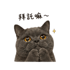 萌萌大老鼠2