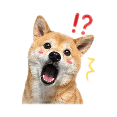 歐米嘎嘎