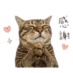 蔥蛋得斯