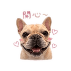 肉包king