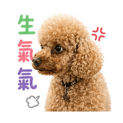 一隻嘟嘟_日常用語