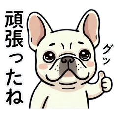 Relatable French Bulldog [Everyday Use]