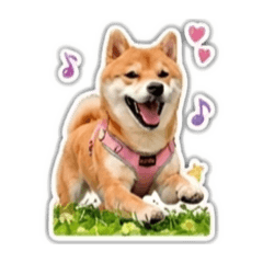 咕嘰的快樂生活