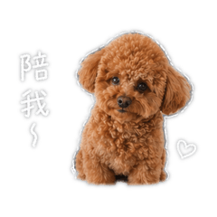 林柳丁