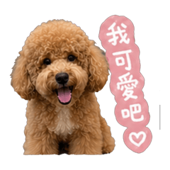 我是發糕啦