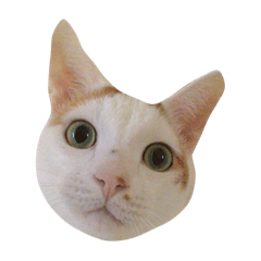 我是哈吉