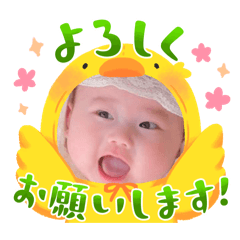 kocchan_20260507231711
