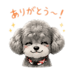 shima002_20260507231349