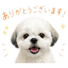 nana_20260507231515
