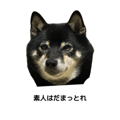 enhypenenchan_20260507232507