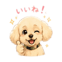 shima002_20260507232523