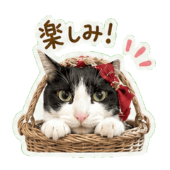 kuroro_20260507232253
