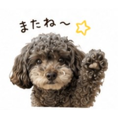 colonel_20260507232303