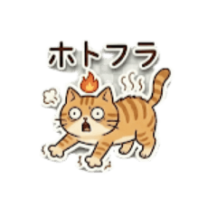 Umi_20260507233859