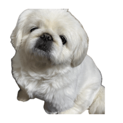 peki_20260507234557