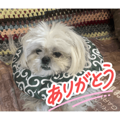 maru peki diary_20260507234400