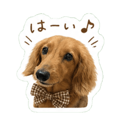 kuroro_20260507234837