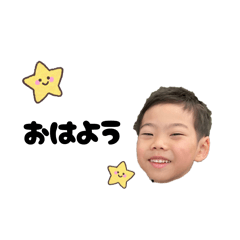 sho_20260507234559