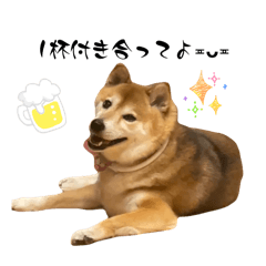 Rui_20260507234916
