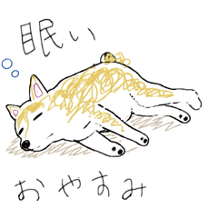 SO_20260508002008