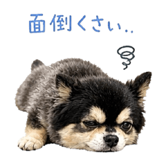 rioshi_20260508005021