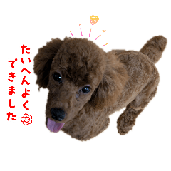 latte_20260508005706