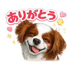 Yuu_20260508005747