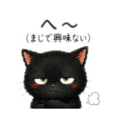 rirukai_20260508010215