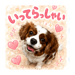 Yuu_20260508012207