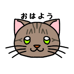 @nyanyachi_20260508021259