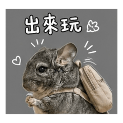 胖球日常_