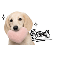 奶油臘腸-MUMU日常（1）