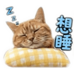 Goofy的日常