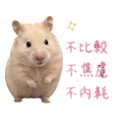 小布丁♡鼠鼠語錄