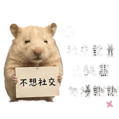 小布丁♡累鼠人生篇