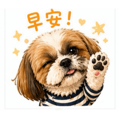 西施熊寶貝