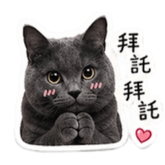 Luka貓生日常