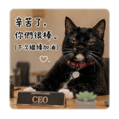 傲嬌小賓士の日常（職場篇2）