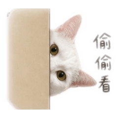 炭妹妹與雪哥哥～