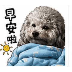 荳荳很逗－廢到笑幹話狗